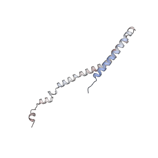 10525_6tml_k7_v1-1
Cryo-EM structure of Toxoplasma gondii mitochondrial ATP synthase hexamer, composite model