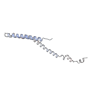 10525_6tml_k9_v1-1
Cryo-EM structure of Toxoplasma gondii mitochondrial ATP synthase hexamer, composite model