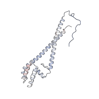 10525_6tml_l7_v1-1
Cryo-EM structure of Toxoplasma gondii mitochondrial ATP synthase hexamer, composite model