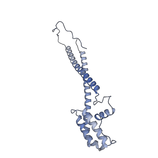 10525_6tml_l8_v1-1
Cryo-EM structure of Toxoplasma gondii mitochondrial ATP synthase hexamer, composite model