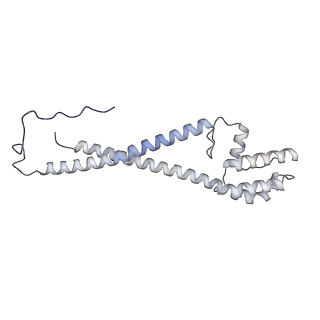 10525_6tml_l9_v1-1
Cryo-EM structure of Toxoplasma gondii mitochondrial ATP synthase hexamer, composite model