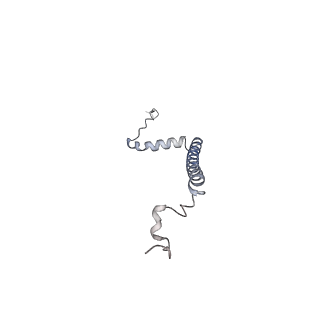 10525_6tml_m7_v1-1
Cryo-EM structure of Toxoplasma gondii mitochondrial ATP synthase hexamer, composite model