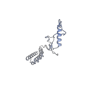 10525_6tml_n7_v1-1
Cryo-EM structure of Toxoplasma gondii mitochondrial ATP synthase hexamer, composite model
