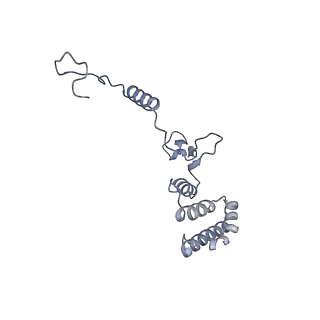10525_6tml_n8_v1-1
Cryo-EM structure of Toxoplasma gondii mitochondrial ATP synthase hexamer, composite model
