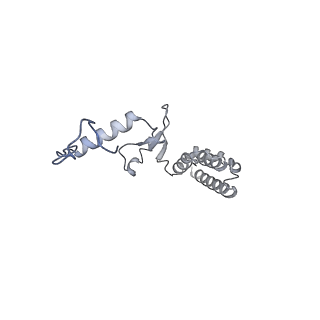 10525_6tml_n9_v1-1
Cryo-EM structure of Toxoplasma gondii mitochondrial ATP synthase hexamer, composite model