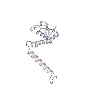 10525_6tml_o7_v1-1
Cryo-EM structure of Toxoplasma gondii mitochondrial ATP synthase hexamer, composite model