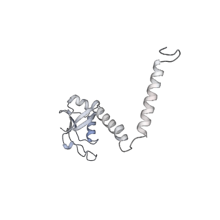 10525_6tml_o9_v1-1
Cryo-EM structure of Toxoplasma gondii mitochondrial ATP synthase hexamer, composite model