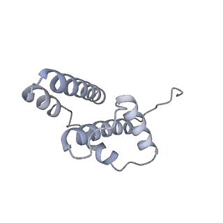 10525_6tml_p8_v1-1
Cryo-EM structure of Toxoplasma gondii mitochondrial ATP synthase hexamer, composite model