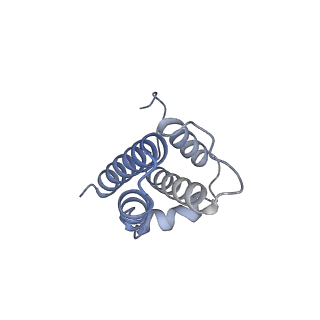 10525_6tml_p9_v1-1
Cryo-EM structure of Toxoplasma gondii mitochondrial ATP synthase hexamer, composite model