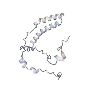10525_6tml_q7_v1-1
Cryo-EM structure of Toxoplasma gondii mitochondrial ATP synthase hexamer, composite model