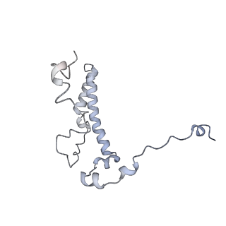 10525_6tml_q8_v1-1
Cryo-EM structure of Toxoplasma gondii mitochondrial ATP synthase hexamer, composite model