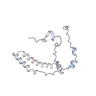 10525_6tml_q9_v1-1
Cryo-EM structure of Toxoplasma gondii mitochondrial ATP synthase hexamer, composite model