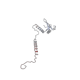 10525_6tml_r7_v1-1
Cryo-EM structure of Toxoplasma gondii mitochondrial ATP synthase hexamer, composite model