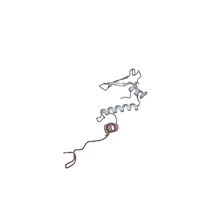 10525_6tml_r8_v1-1
Cryo-EM structure of Toxoplasma gondii mitochondrial ATP synthase hexamer, composite model