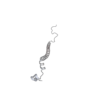 10525_6tml_s7_v1-1
Cryo-EM structure of Toxoplasma gondii mitochondrial ATP synthase hexamer, composite model