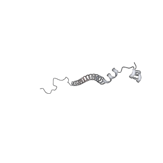 10525_6tml_s9_v1-1
Cryo-EM structure of Toxoplasma gondii mitochondrial ATP synthase hexamer, composite model