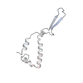 10525_6tml_t8_v1-1
Cryo-EM structure of Toxoplasma gondii mitochondrial ATP synthase hexamer, composite model
