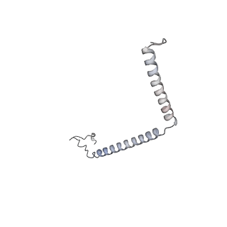 10525_6tml_u9_v1-1
Cryo-EM structure of Toxoplasma gondii mitochondrial ATP synthase hexamer, composite model