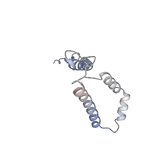 10525_6tml_v7_v1-1
Cryo-EM structure of Toxoplasma gondii mitochondrial ATP synthase hexamer, composite model