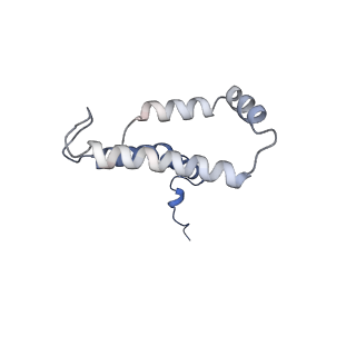 10525_6tml_v8_v1-1
Cryo-EM structure of Toxoplasma gondii mitochondrial ATP synthase hexamer, composite model