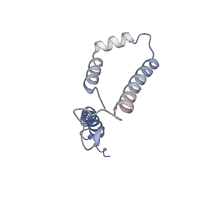 10525_6tml_v9_v1-1
Cryo-EM structure of Toxoplasma gondii mitochondrial ATP synthase hexamer, composite model