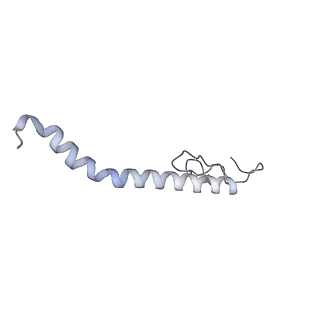 10525_6tml_x8_v1-1
Cryo-EM structure of Toxoplasma gondii mitochondrial ATP synthase hexamer, composite model
