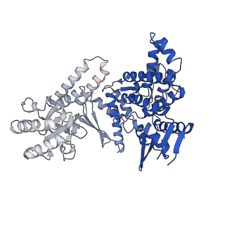 10528_6tmv_A_v1-1
Structure of the chaperonin gp146 from the bacteriophage EL (Pseudomonas aeruginosa) in the apo state