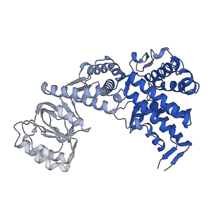 10528_6tmv_B_v1-1
Structure of the chaperonin gp146 from the bacteriophage EL (Pseudomonas aeruginosa) in the apo state