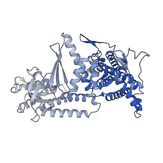 10528_6tmv_D_v1-1
Structure of the chaperonin gp146 from the bacteriophage EL (Pseudomonas aeruginosa) in the apo state