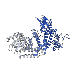 10528_6tmv_E_v1-1
Structure of the chaperonin gp146 from the bacteriophage EL (Pseudomonas aeruginosa) in the apo state