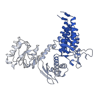 10528_6tmv_F_v1-1
Structure of the chaperonin gp146 from the bacteriophage EL (Pseudomonas aeruginosa) in the apo state