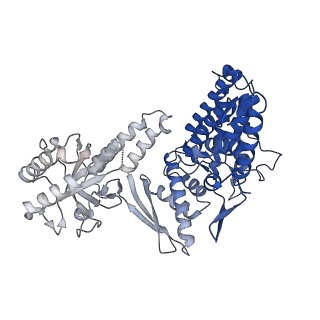10528_6tmv_G_v1-1
Structure of the chaperonin gp146 from the bacteriophage EL (Pseudomonas aeruginosa) in the apo state