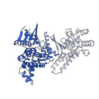 10528_6tmv_H_v1-1
Structure of the chaperonin gp146 from the bacteriophage EL (Pseudomonas aeruginosa) in the apo state