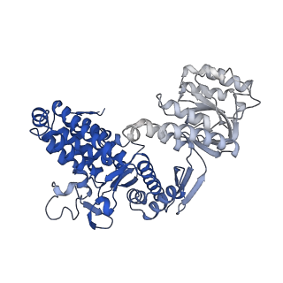 10528_6tmv_J_v1-1
Structure of the chaperonin gp146 from the bacteriophage EL (Pseudomonas aeruginosa) in the apo state