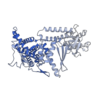 10528_6tmv_K_v1-1
Structure of the chaperonin gp146 from the bacteriophage EL (Pseudomonas aeruginosa) in the apo state