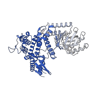 10528_6tmv_L_v1-1
Structure of the chaperonin gp146 from the bacteriophage EL (Pseudomonas aeruginosa) in the apo state