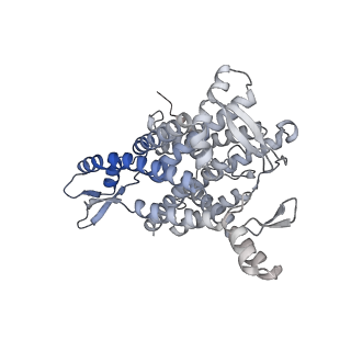 25994_7tm3_1_v1-3
Structure of the rabbit 80S ribosome stalled on a 2-TMD Rhodopsin intermediate in complex with the multipass translocon