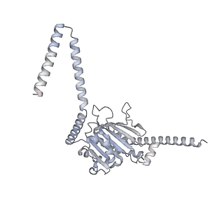25994_7tm3_4_v1-3
Structure of the rabbit 80S ribosome stalled on a 2-TMD Rhodopsin intermediate in complex with the multipass translocon