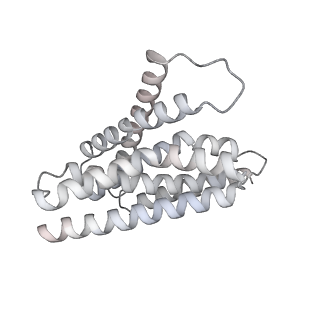 25994_7tm3_6_v1-3
Structure of the rabbit 80S ribosome stalled on a 2-TMD Rhodopsin intermediate in complex with the multipass translocon