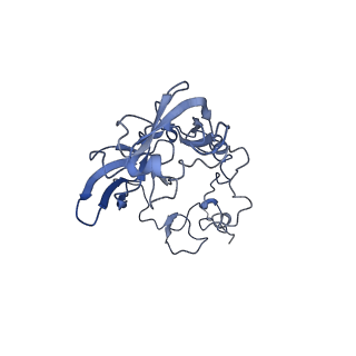 25994_7tm3_A_v1-3
Structure of the rabbit 80S ribosome stalled on a 2-TMD Rhodopsin intermediate in complex with the multipass translocon