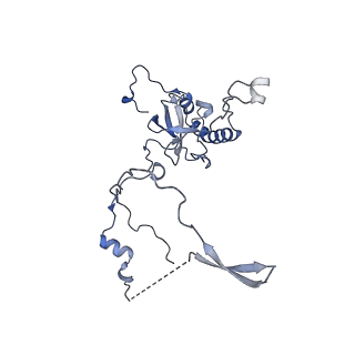 25994_7tm3_E_v1-3
Structure of the rabbit 80S ribosome stalled on a 2-TMD Rhodopsin intermediate in complex with the multipass translocon