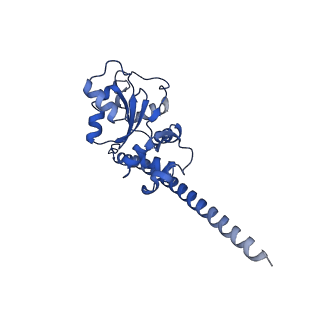 25994_7tm3_F_v1-3
Structure of the rabbit 80S ribosome stalled on a 2-TMD Rhodopsin intermediate in complex with the multipass translocon