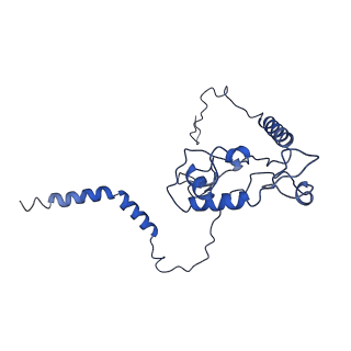 25994_7tm3_L_v1-3
Structure of the rabbit 80S ribosome stalled on a 2-TMD Rhodopsin intermediate in complex with the multipass translocon