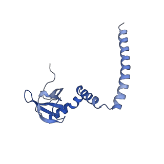 25994_7tm3_M_v1-3
Structure of the rabbit 80S ribosome stalled on a 2-TMD Rhodopsin intermediate in complex with the multipass translocon