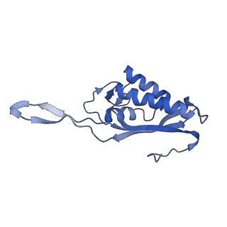25994_7tm3_P_v1-3
Structure of the rabbit 80S ribosome stalled on a 2-TMD Rhodopsin intermediate in complex with the multipass translocon