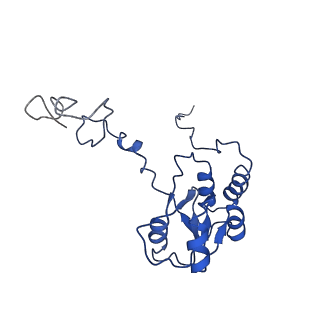 25994_7tm3_Q_v1-3
Structure of the rabbit 80S ribosome stalled on a 2-TMD Rhodopsin intermediate in complex with the multipass translocon