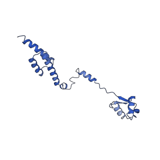 25994_7tm3_R_v1-3
Structure of the rabbit 80S ribosome stalled on a 2-TMD Rhodopsin intermediate in complex with the multipass translocon