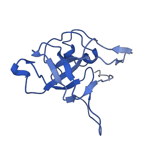 25994_7tm3_V_v1-3
Structure of the rabbit 80S ribosome stalled on a 2-TMD Rhodopsin intermediate in complex with the multipass translocon