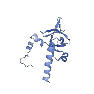 25994_7tm3_Y_v1-3
Structure of the rabbit 80S ribosome stalled on a 2-TMD Rhodopsin intermediate in complex with the multipass translocon