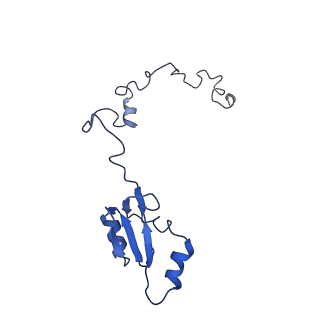25994_7tm3_a_v1-3
Structure of the rabbit 80S ribosome stalled on a 2-TMD Rhodopsin intermediate in complex with the multipass translocon